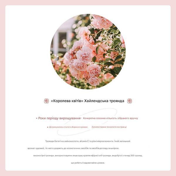 Есенція з ефірною олією сухоцвітів троянди Bioaqua Rose Dried Flower Oil для живлення та зволоження шкіри обличчя 30 мл 01207 фото Есенція з ефірною олією сухоцвітів троянди Bioaqua Rose Dried Flower Oil для живлення та зволоження шкіри обличчя 30 мл 01207 фото
