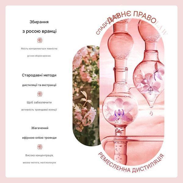 Есенція з ефірною олією сухоцвітів троянди Bioaqua Rose Dried Flower Oil для живлення та зволоження шкіри обличчя 30 мл 01207 фото Есенція з ефірною олією сухоцвітів троянди Bioaqua Rose Dried Flower Oil для живлення та зволоження шкіри обличчя 30 мл 01207 фото