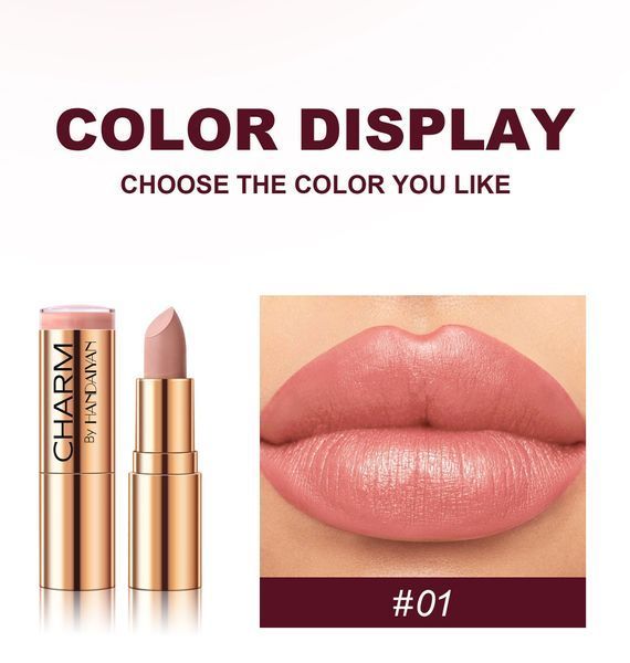 Кремова помада для губ Handaiyan Golden Creamy Nourishing Lipstick 08 Terracotta 01168 фото