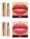 Кремова помада для губ Handaiyan Golden Creamy Nourishing Lipstick 08 Terracotta 01168 фото 20